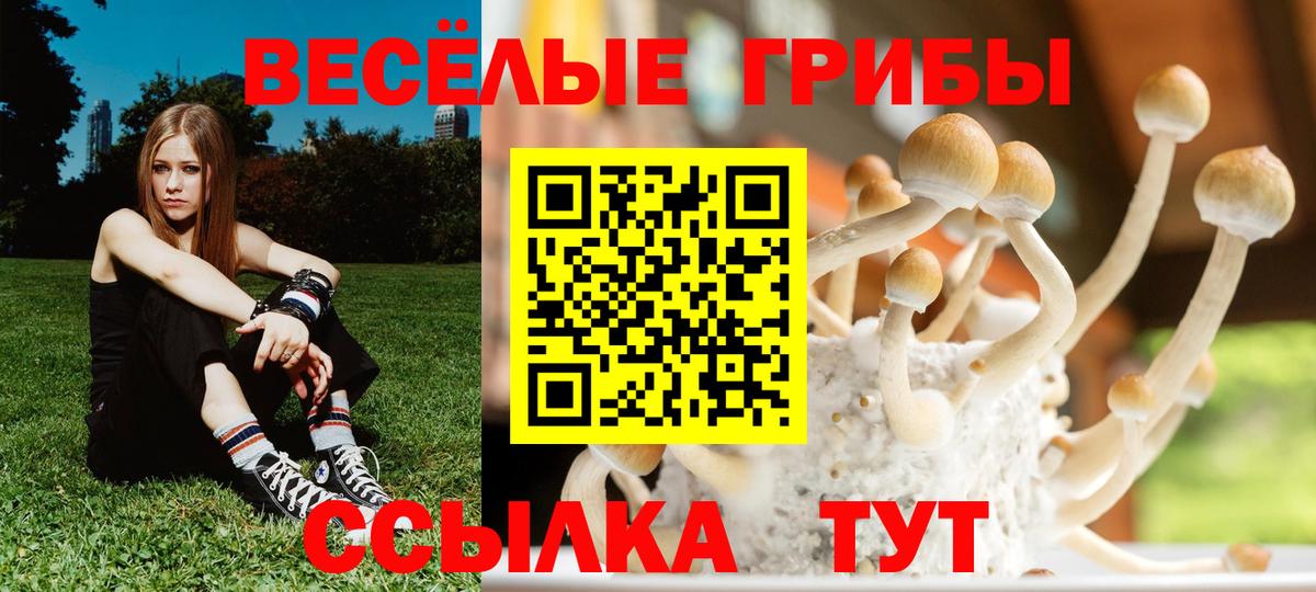 Галлюциногенные грибы MAGIC MUSHROOMS  Вход с VPN  дарнет шоп  Дзержинский 